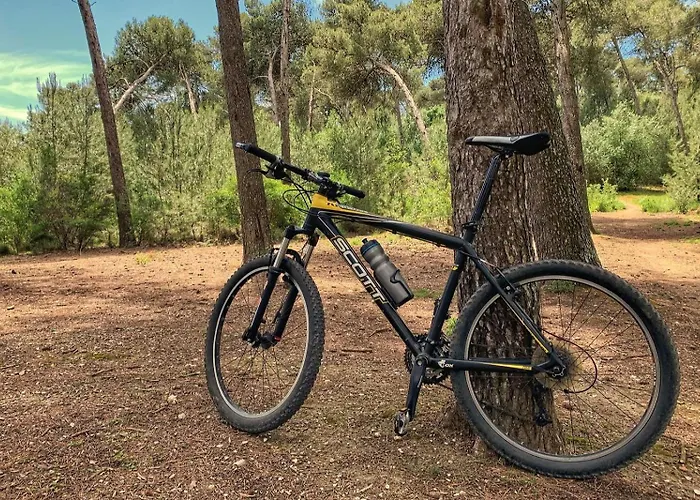 بيت للعطل Casa Do Largo - Exclusive Retreat - Patio & Pool Sarzedas